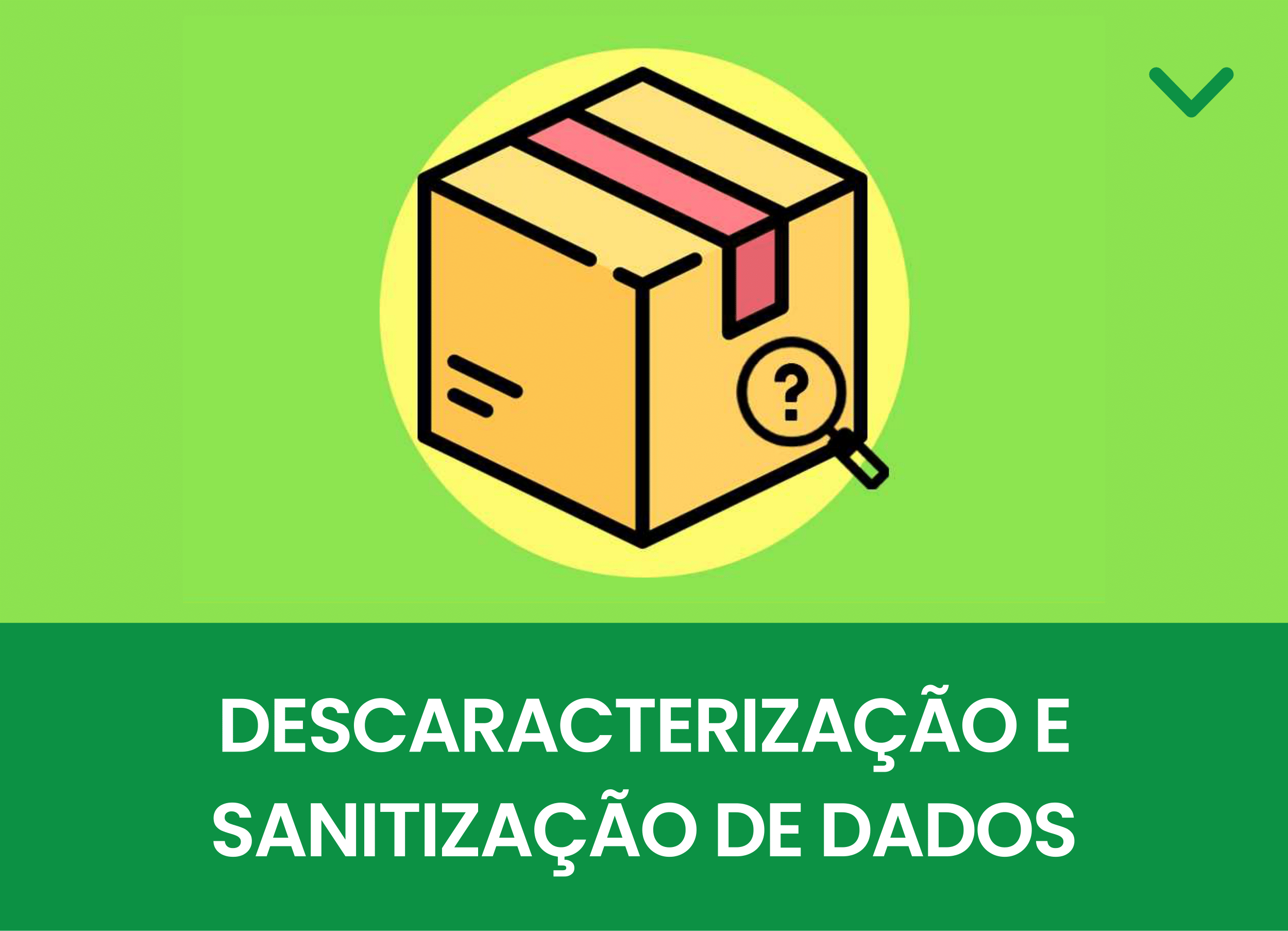 Descaracterização e Sanitização de Dados