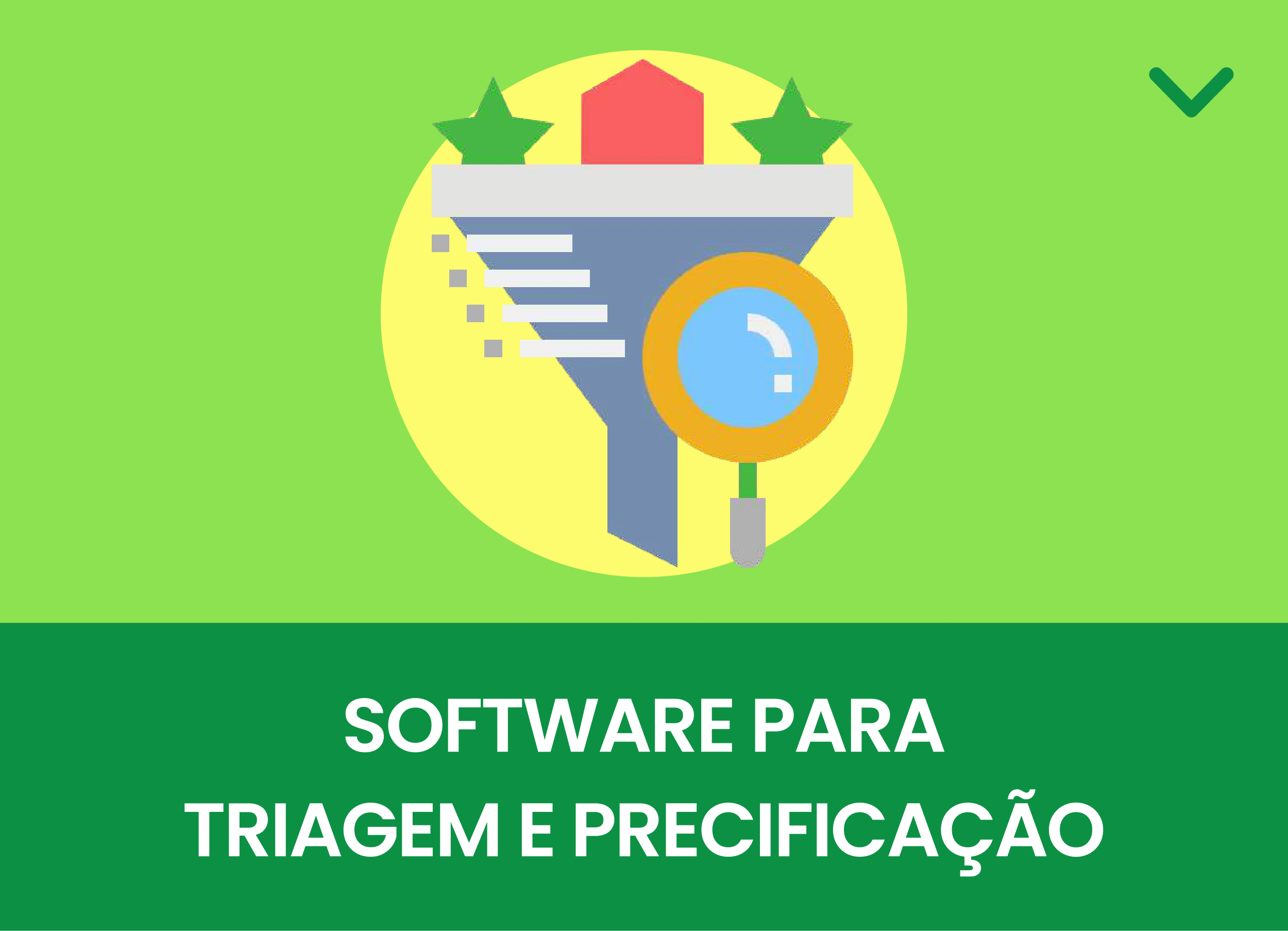 Software para Triagem e Precificação